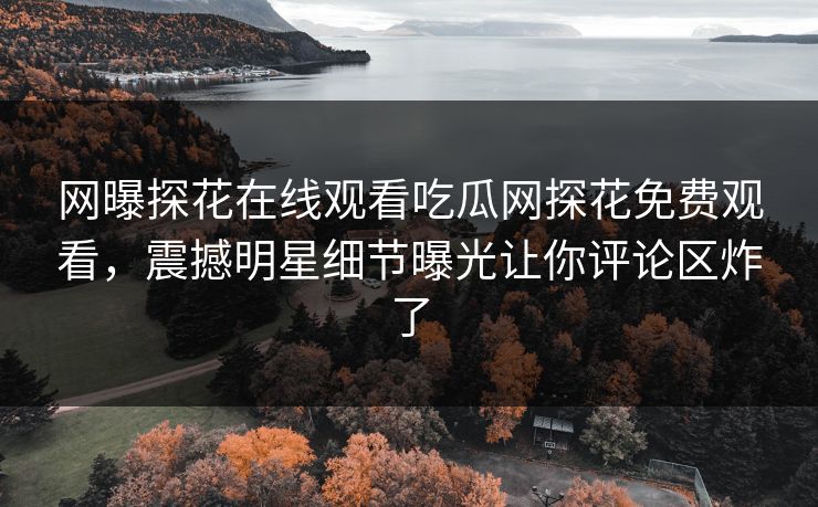 网曝探花在线观看吃瓜网探花免费观看，震撼明星细节曝光让你评论区炸了