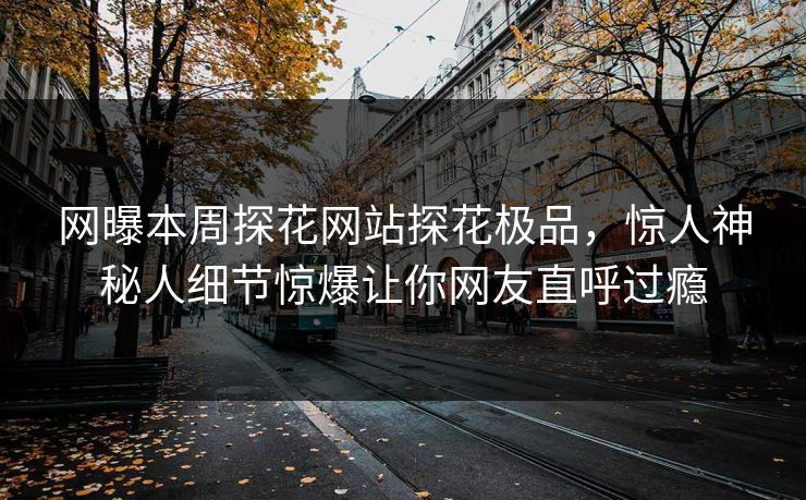 网曝本周探花网站探花极品，惊人神秘人细节惊爆让你网友直呼过瘾