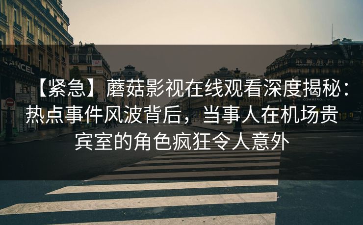 【紧急】蘑菇影视在线观看深度揭秘：热点事件风波背后，当事人在机场贵宾室的角色疯狂令人意外  第1张