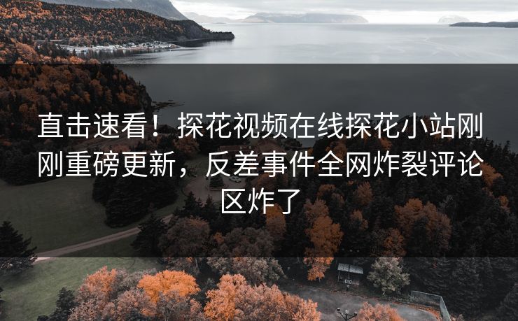 直击速看！探花视频在线探花小站刚刚重磅更新，反差事件全网炸裂评论区炸了