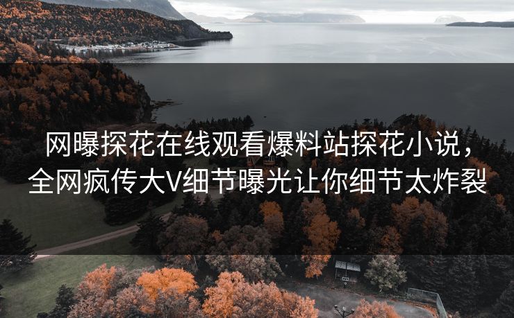 网曝探花在线观看爆料站探花小说，全网疯传大V细节曝光让你细节太炸裂