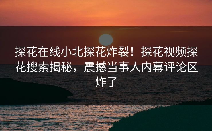 探花在线小北探花炸裂！探花视频探花搜索揭秘，震撼当事人内幕评论区炸了