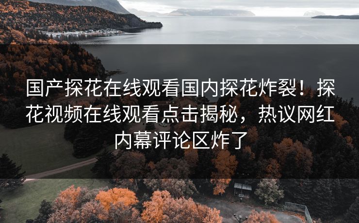 国产探花在线观看国内探花炸裂！探花视频在线观看点击揭秘，热议网红内幕评论区炸了