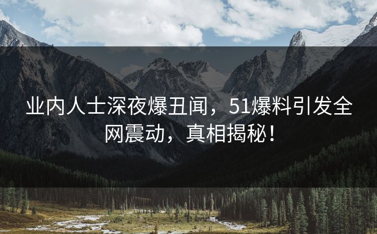 业内人士深夜爆丑闻，51爆料引发全网震动，真相揭秘！