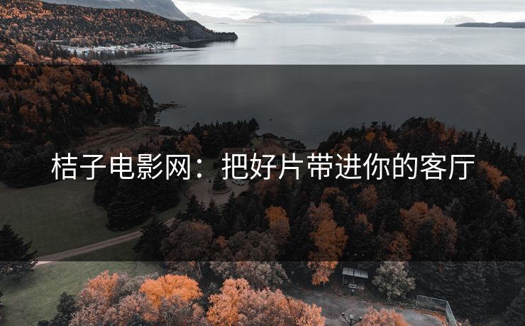 桔子电影网：把好片带进你的客厅
