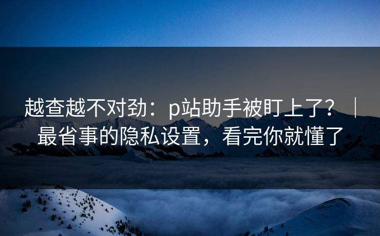越查越不对劲：p站助手被盯上了？｜最省事的隐私设置，看完你就懂了